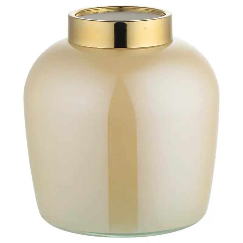 گلدان شیشه ای مدل دکوری