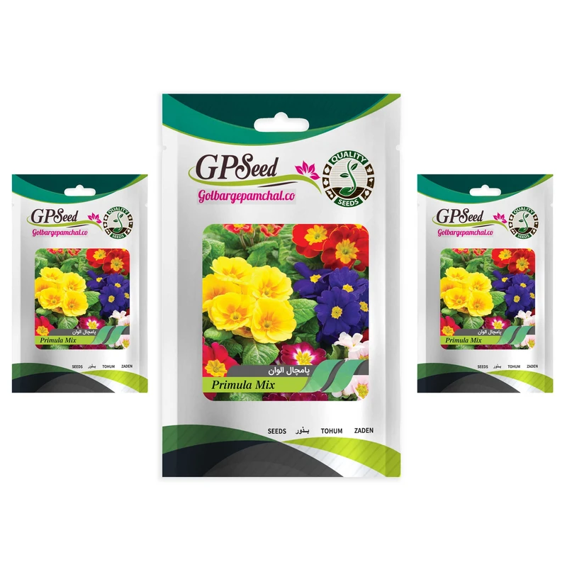 بذر گل پامچال گلبرگ پامچال کد GPF-030 مجموعه 3 عددی