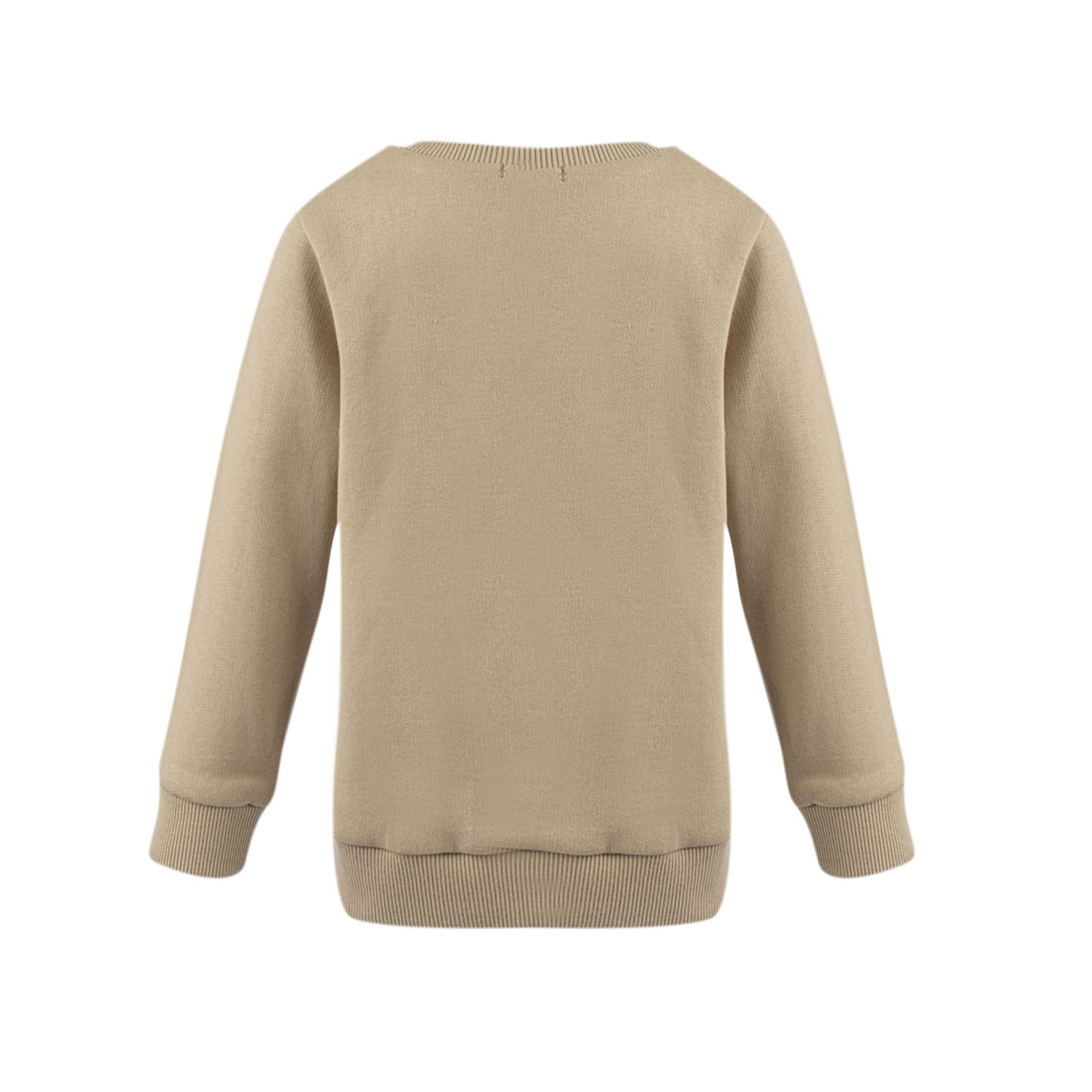 سویشرت پسرانه فیورلا مدل 34562 - - 3