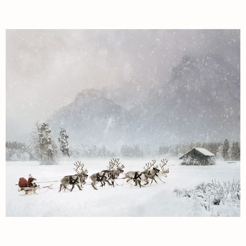 پوستر مدل چاپ سورتمه گلهای گشایی 