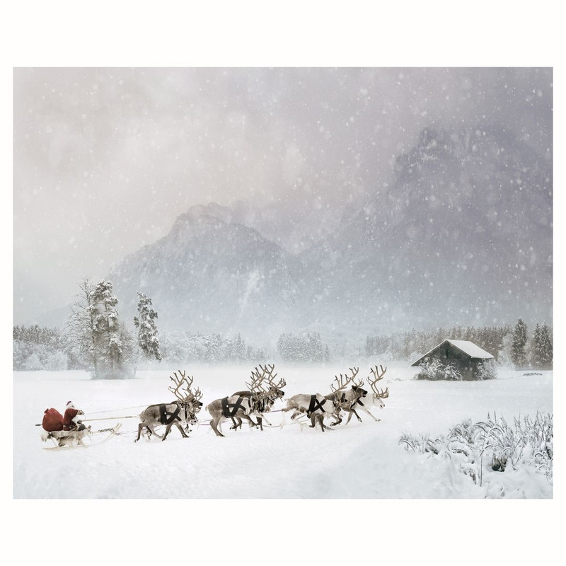 پوستر مدل چاپ سورتمه گلهای گشایی 