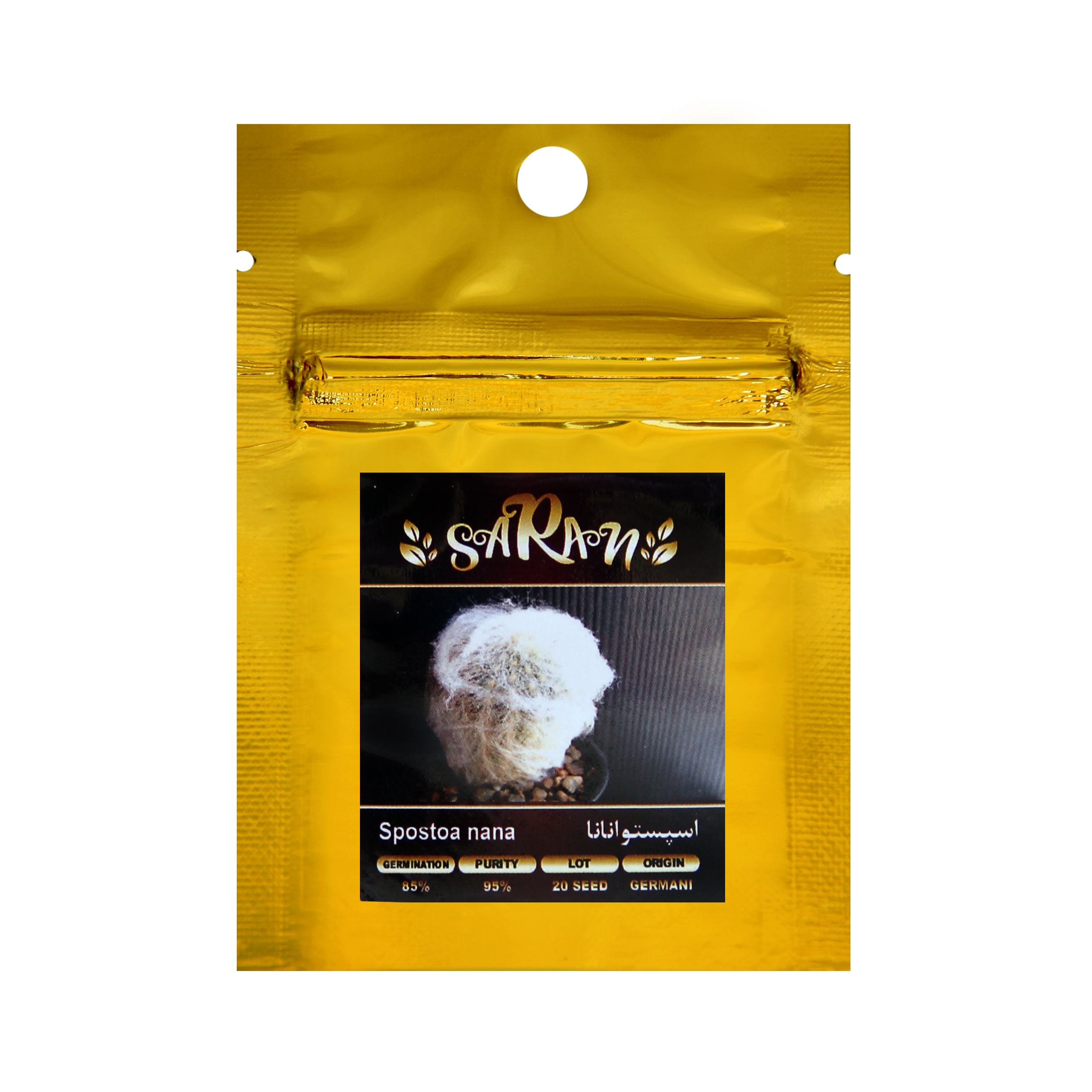 بذر کاکتوس اسپستوانانا ساران مدل AMR-023