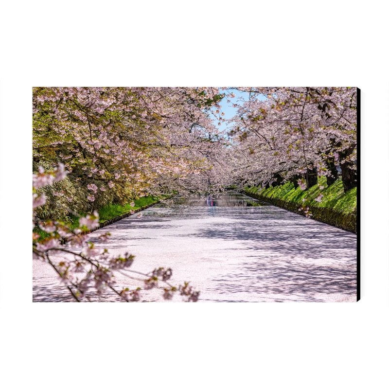 تابلو شاسی عرش طرح گردشگری ژاپن مدل جشنواره شکوفه‌های گیلاس پارک هیروساکی کد As6165