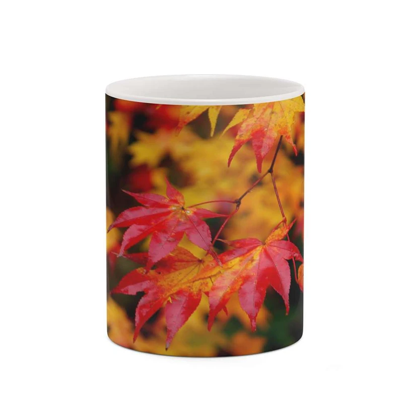 ماگ کاکتی مدل پاییز کد mgh19325