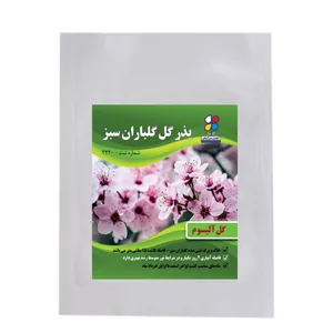 بذر گل آلیسوم شرکت گلباران سبز گیلان مدل BA بسته 24 عددی