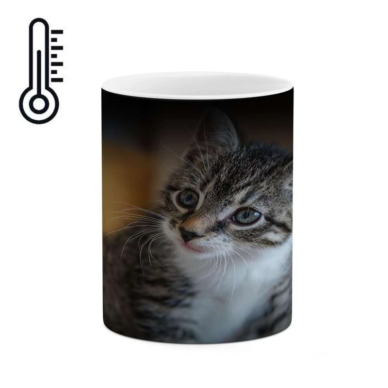 ماگ حرارتی کاکتی مدل گربه کد mgh16577