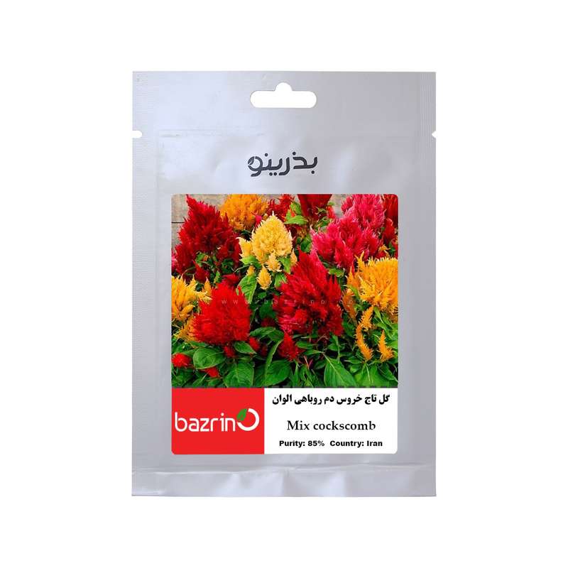 بذر گل تاج خروس دم روباهی الوان بذرینو کد B-024