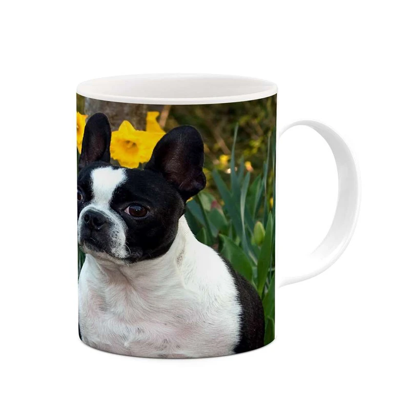 ماگ کاکتی مدل سگ کد mgh19242