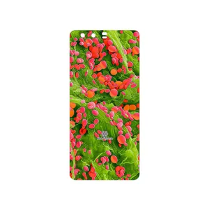 MAHOOT Atom Universe 3 Cover Sticker for Huawei P10 Plus