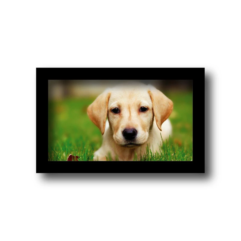 تابلو مدل حیوانات خانگی طرح سگ لابرادورتریور