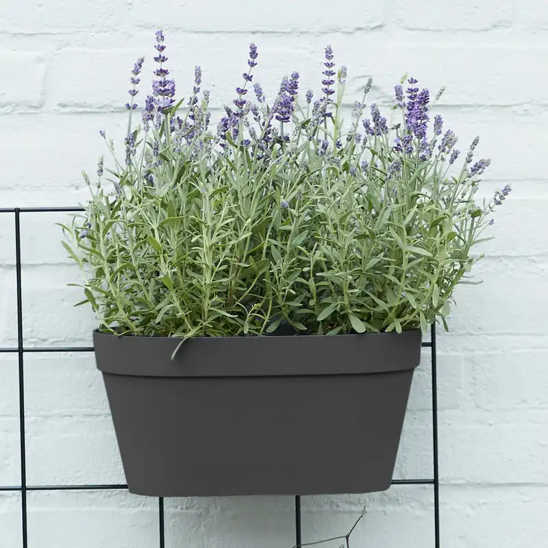 استند گلدان مدل دیوار سبز مجموعه 2 عددی به همراه گلدان