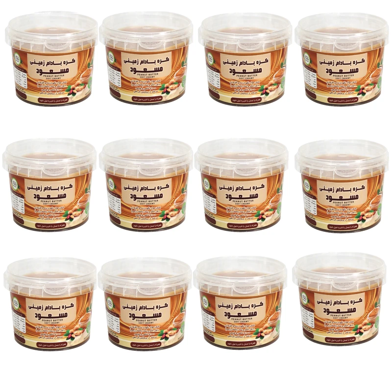     کره بادام زمینی رژیمی ساده مسعود - 250 گرم بسته 12 عددی