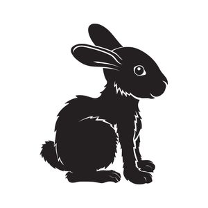 نقد و بررسی استیکر کلید پریز طرح خرگوش خندان بسته 2 عددی توسط خریداران