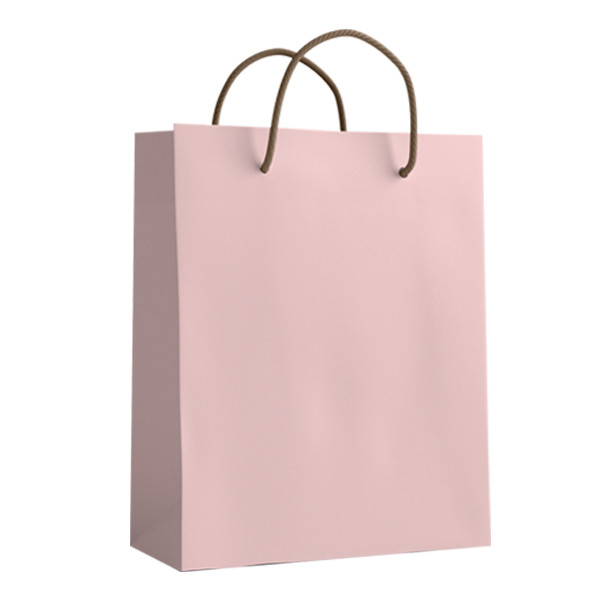 ساک دستی مدل 10078 بسته 12 عددی