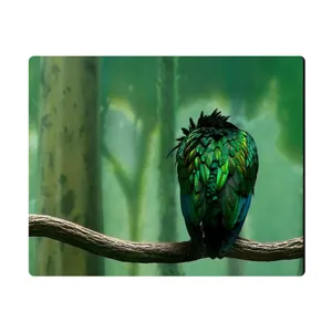 Elinor MPE270 Mousepad