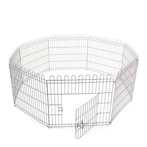 park_dog_90