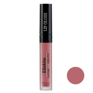 ElizKita 207  Lip Gloss