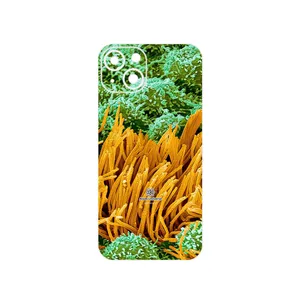MAHOOT Atom Universe 6 Cover Sticker for Apple iPhone 13