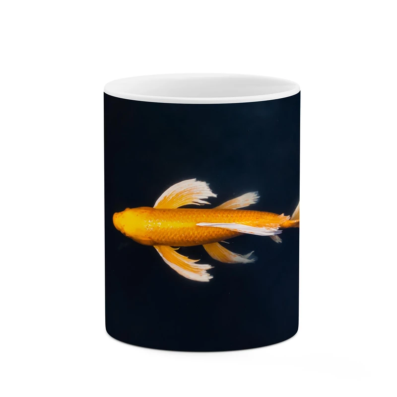 ماگ کاکتی طرح ماهی کد mgp11252