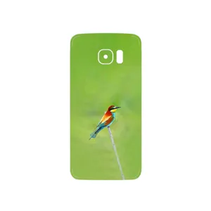 MAHOOT European bee-eater Cover Sticker for Samsung Galaxy S7 Edge