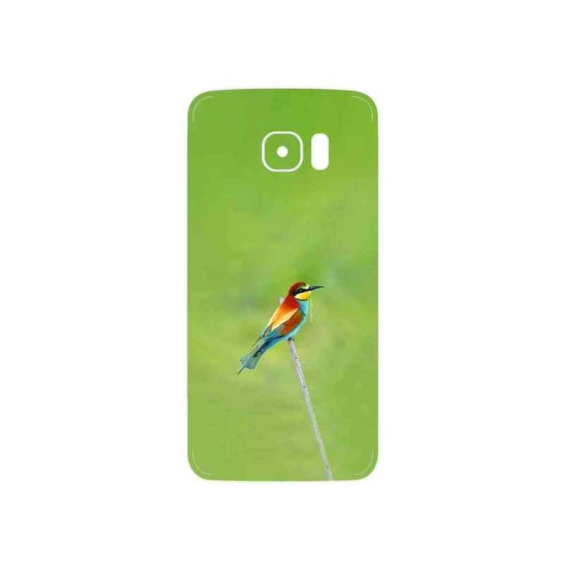 برچسب پوششی ماهوت مدل European bee-eater مناسب برای گوشی موبایل سامسونگ Galaxy S7 Edge