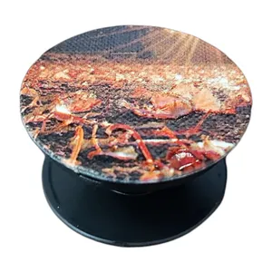 پایه نگهدارنده گوشی موبایل و تبلت پاپ سوکت طرح پاییز مدل U3