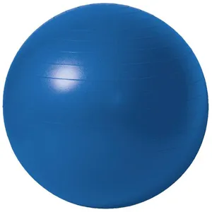 Cross Sport IR97403 Gym Ball