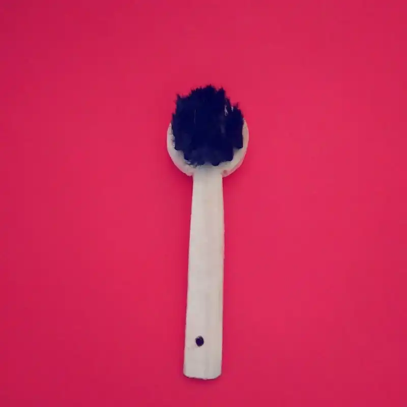 فرچه کفش پانیا مدل GEA-TRM به همراه یک عدد پاشنه کش