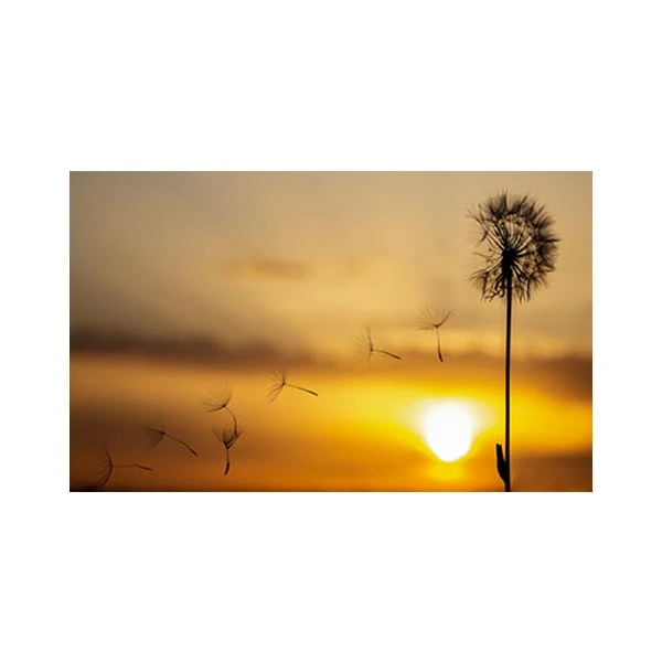  پادری مدل گل و طبیعت کد M35M001-MF0130 سایز 76x46 سانتی متر