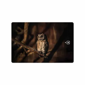 MAHOOT Owl Cover Sticker for Samsung Galaxy Tab S3 9.7 2017 T825