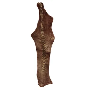 چرم طبیعی مدل ساق شتر مرغ کد OL068