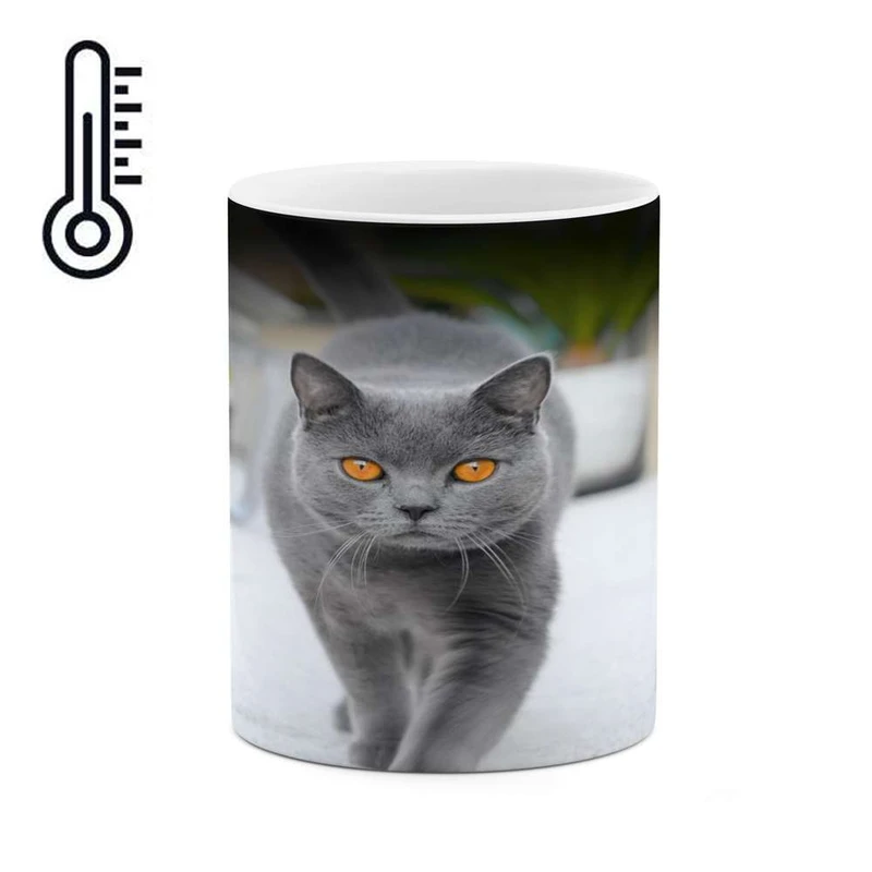 ماگ حرارتی کاکتی مدل گربه کد mgh16810