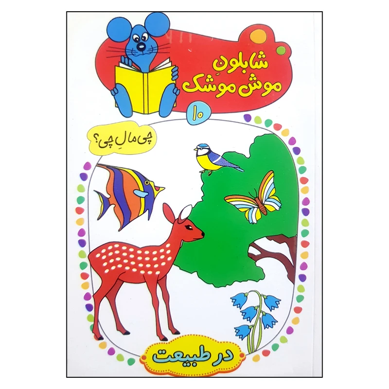 کتاب شابلون موش موشک 10 اثر ولفگانگ شلایشر انتشارات کلام