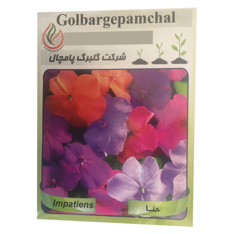 بذر گل حنا گلبرگ پامچال مدل GP12