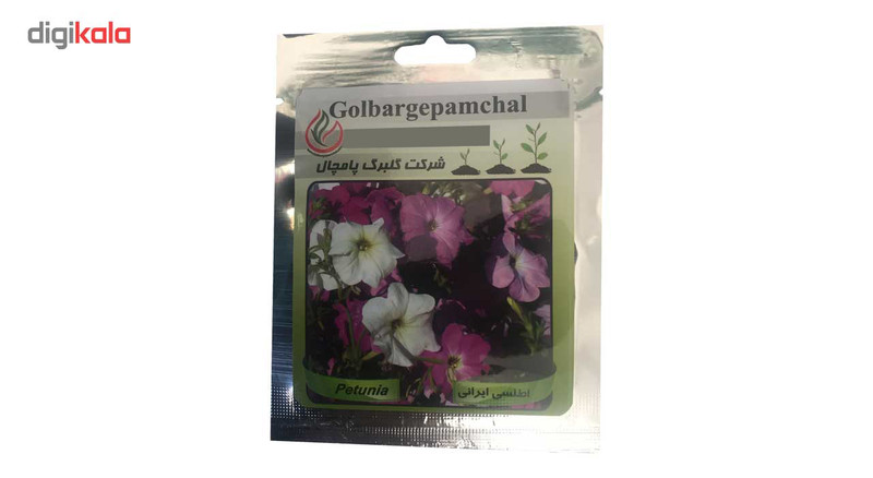 بذر گل بنفشه گلبرگ پامچال مدل GP09 بذر گل بنفشه گلبرگ پامچال مدل GP09