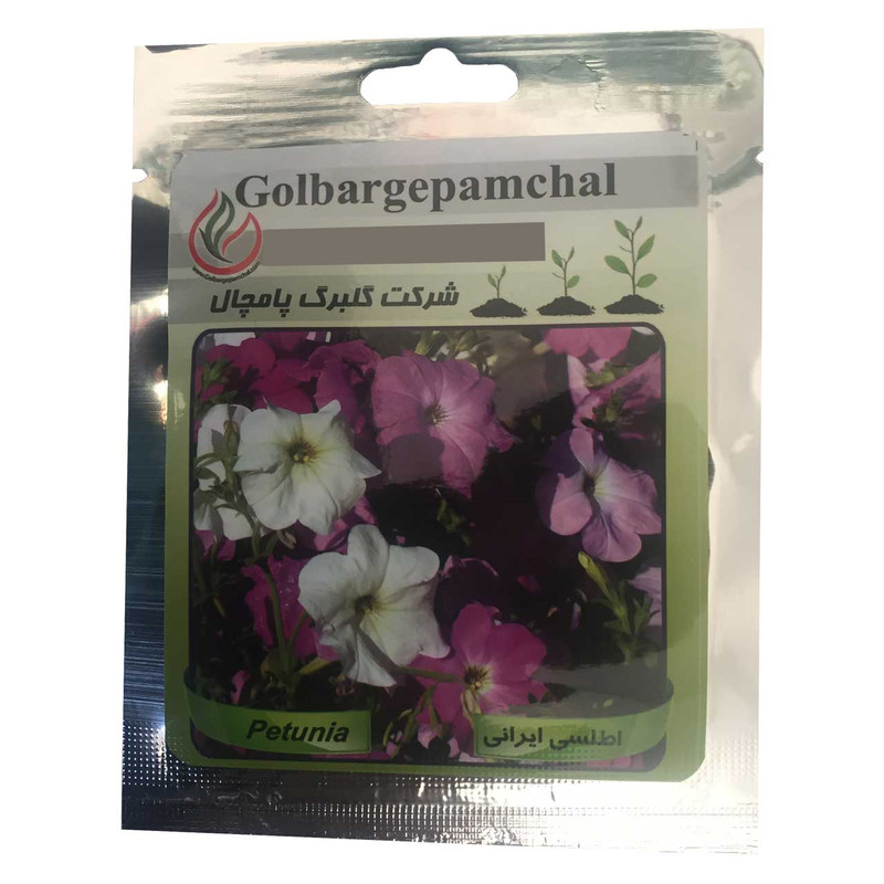 بذر گل اطلسی ایرانی گلبرگ پامچال مدل GP07