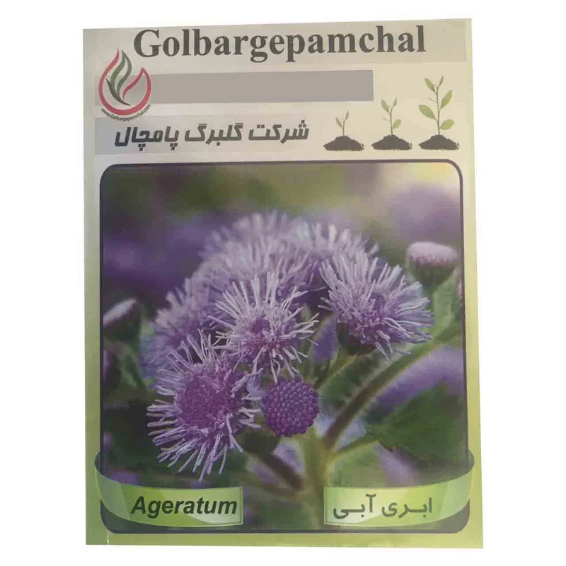 بذر گل ابری آبی گلبرگ پامچال مدل GP01