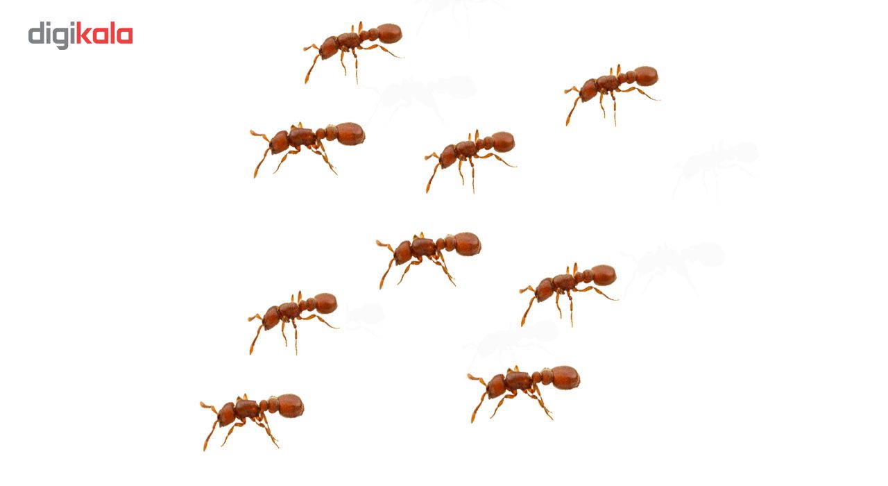 ابزار شوخی مدل مورچه مصنوعی بسته 9 عددی