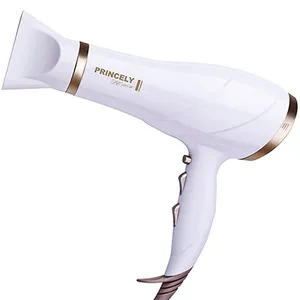 سشوار پرینسلی PR239