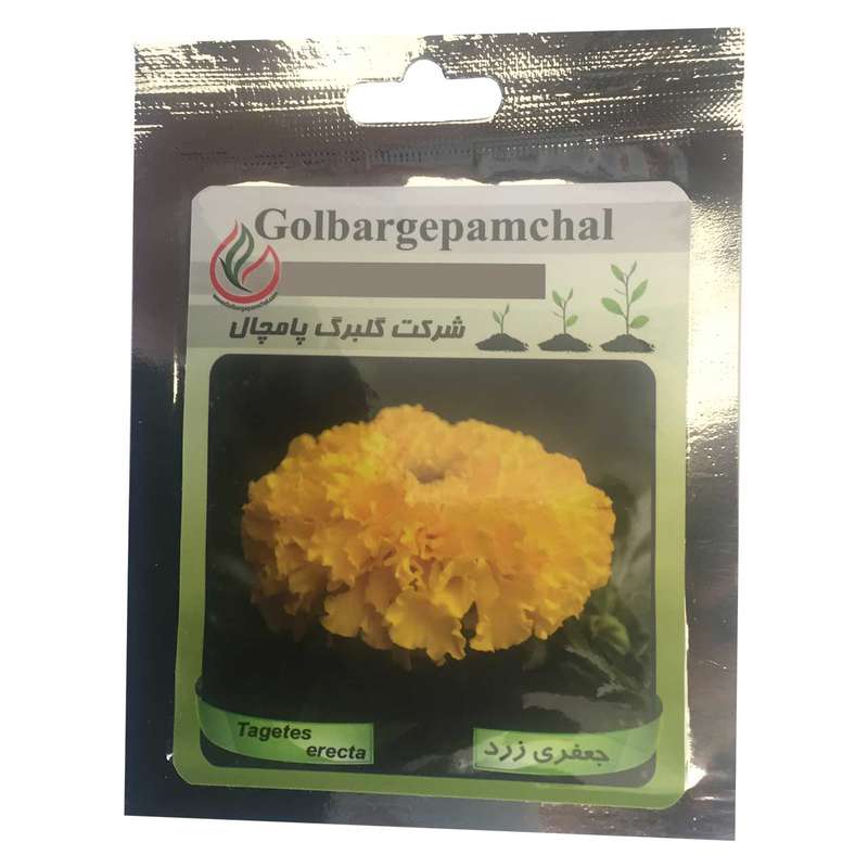 بذر گل جعفری زرد گلبرگ پامچال مدل GP13