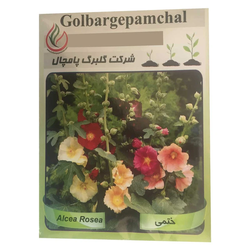 بذر گل ختمی گلبرگ پامچال مدل GP14