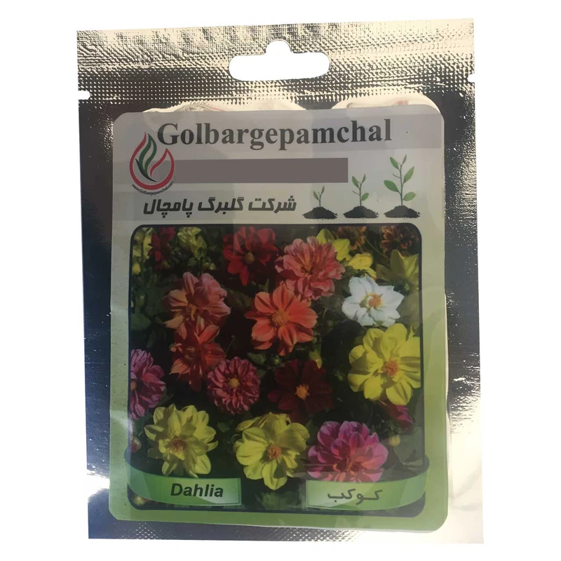 بذر گل کوکب گلبرگ پامچال مدل GP15