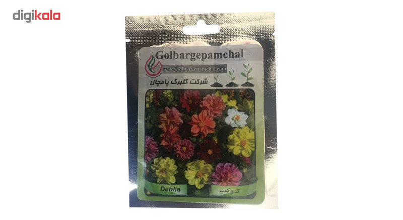 بذر گل کوکب گلبرگ پامچال مدل GP15