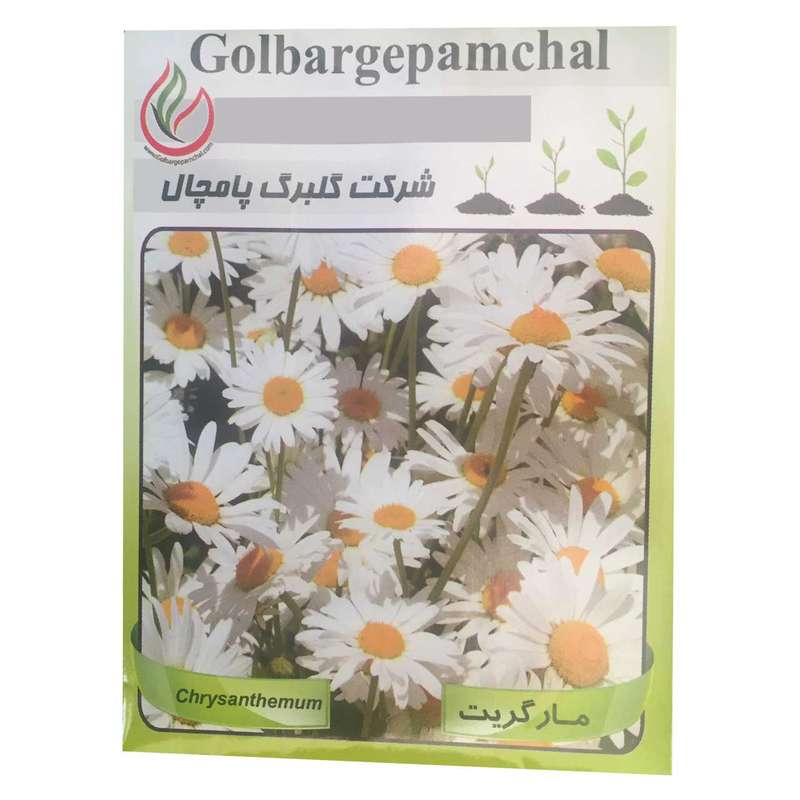 بذر گل مارگریت گلبرگ پامچال مدل GP18