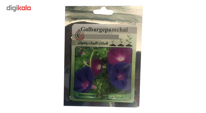 بذر گل نیلوفر گلبرگ پامچال مدل GP21