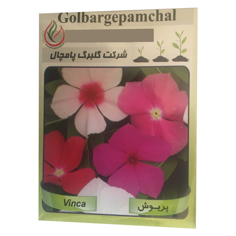 بذر گل پریوش گلبرگ پامچال مدل GP22 بذر گل پریوش گلبرگ پامچال مدل GP22