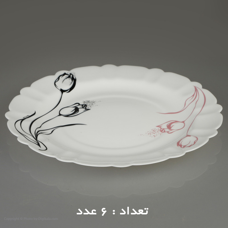 سرویس غذا خوری 25 پارچه آیروپال طرح کنگره مدل آرام