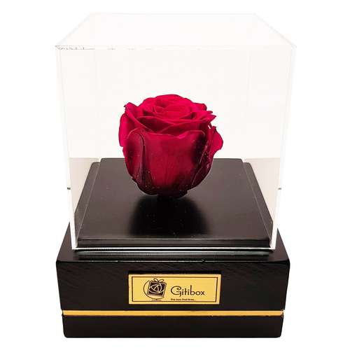 جعبه گل ماندگار گیتی باکس مدل رز جاودان قرمز تیره کاج
