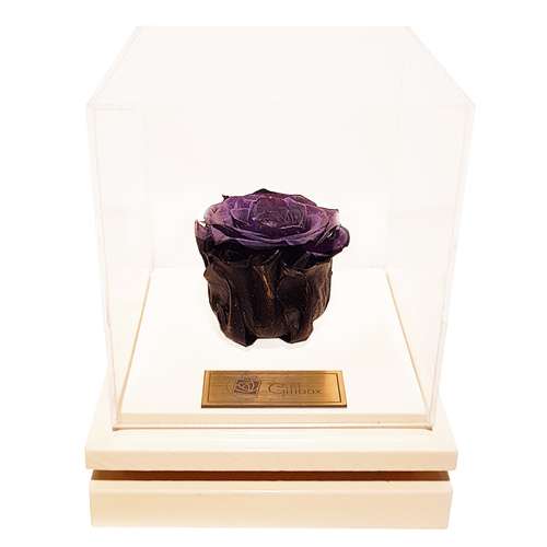 جعبه گل ماندگار گیتی باکس مدل رز جاودان مشکی بالسا
