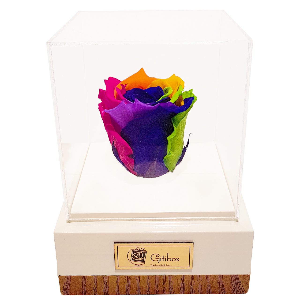 جعبه گل ماندگار گیتی باکس مدل رز جاودان 7 رنگ افرا